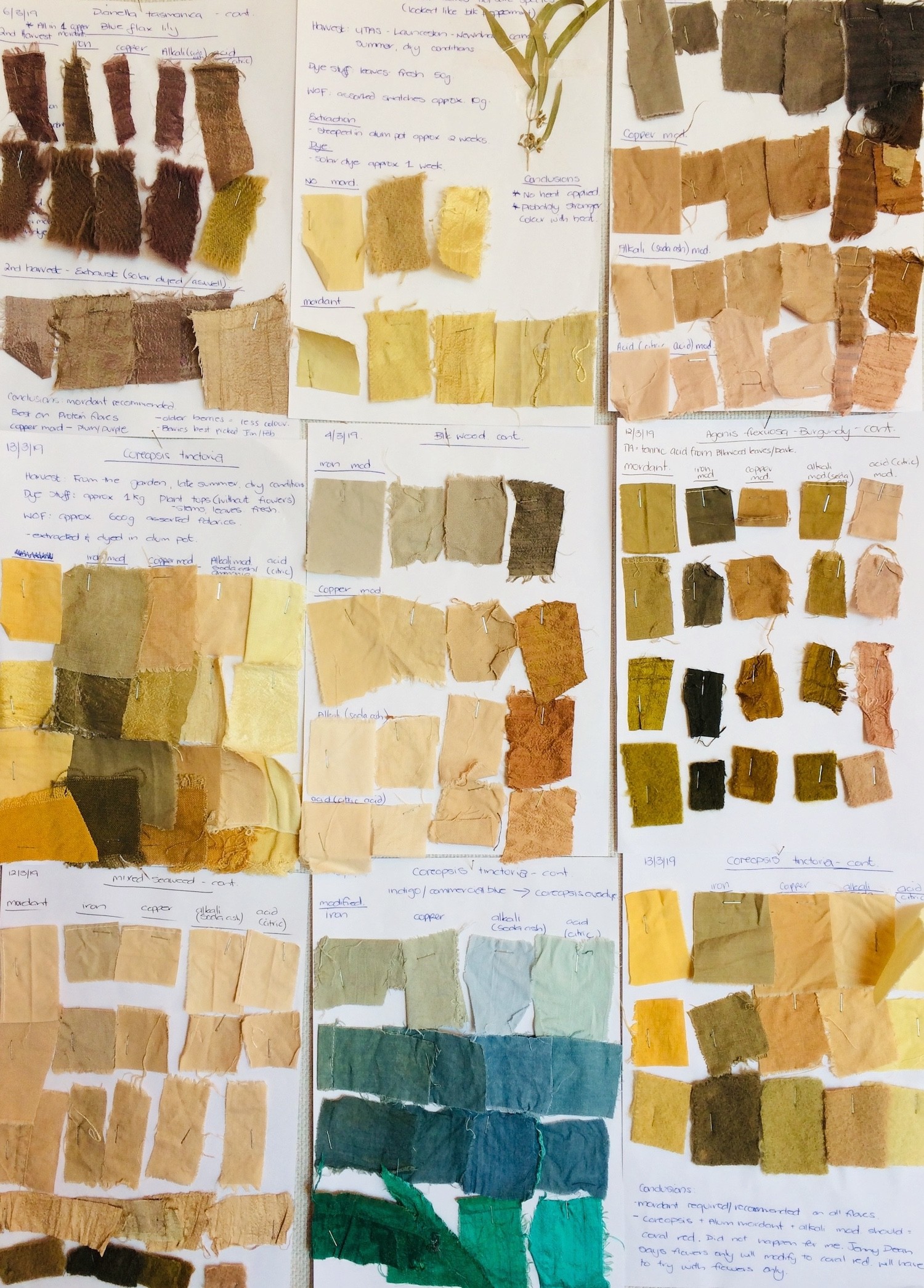 Naturally Dyed Workshop with Phong Chi Lai